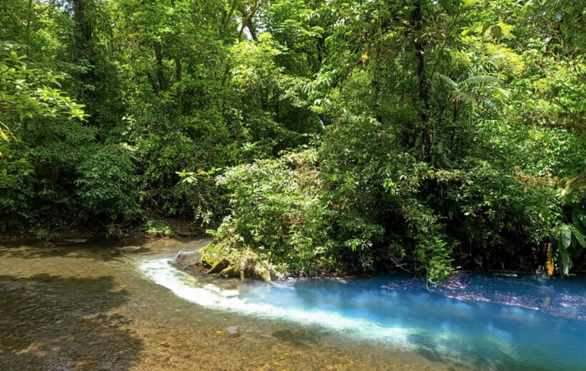 Río Celeste Hike
