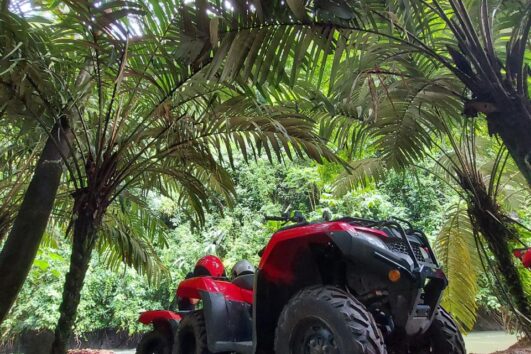 Atv Jungle Tour (Doble)
