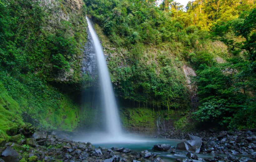 MINI COMBO Sloth Watching Trail + La Fortuna Waterfall Hike