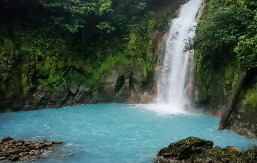 Río Celeste Hike  *PREMIUM TOUR*