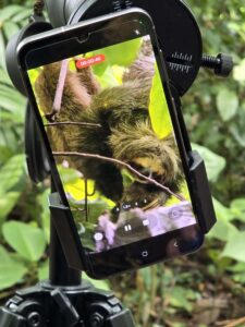 MINI COMBO Volcano Hike + Sloth Watching Trail