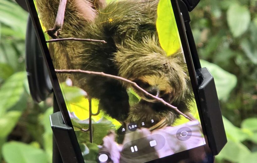 MINI COMBO Volcano Hike + Sloth Watching Trail