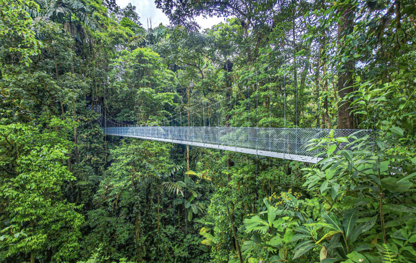 MINI COMBO Hanging Bridges + La Fortuna Waterfall + Lunch